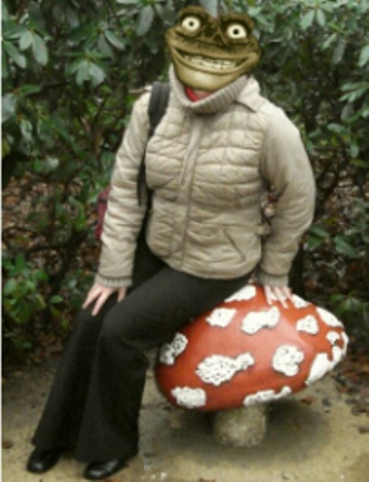 Afbeelding