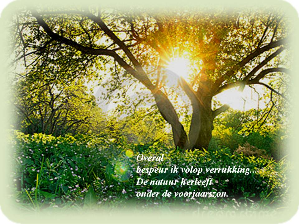 Voor mensen met levenservaring en levenswijsheid