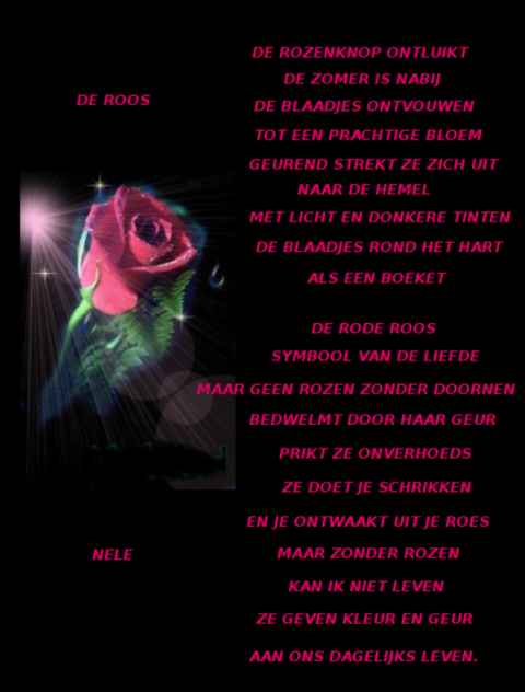 Afbeelding