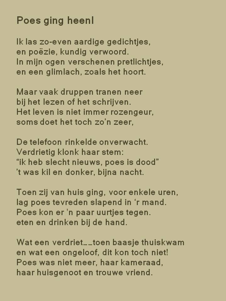 Afbeelding