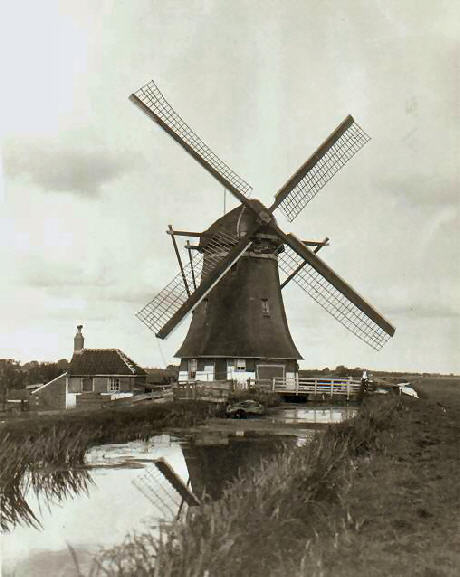 Afbeelding