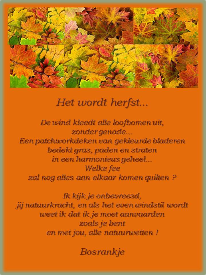 Voor mensen met levenservaring en levenswijsheid