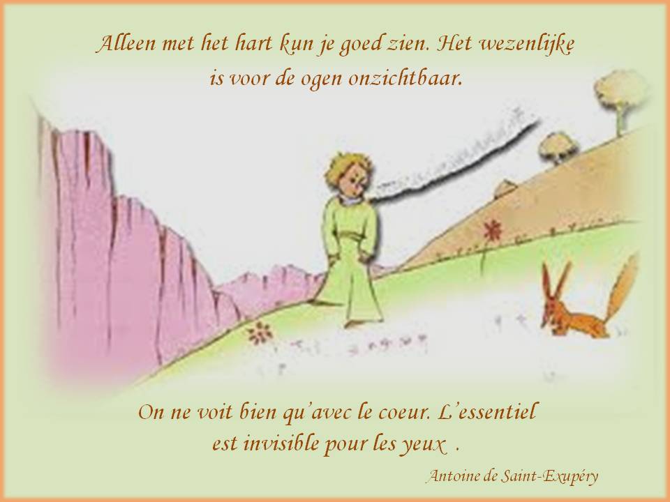 Website voor de actieve 50plusser