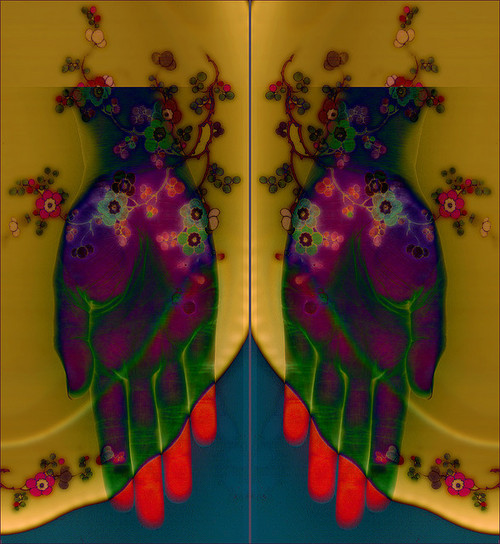 Afbeelding