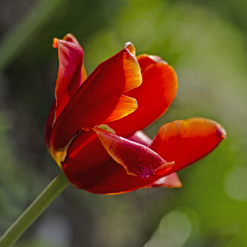 431-20130305-b0c4a9.jpg