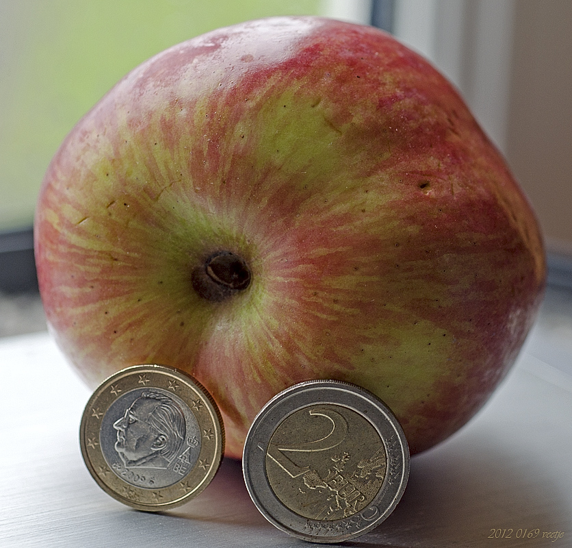 82-20120409-6c9d32.jpg