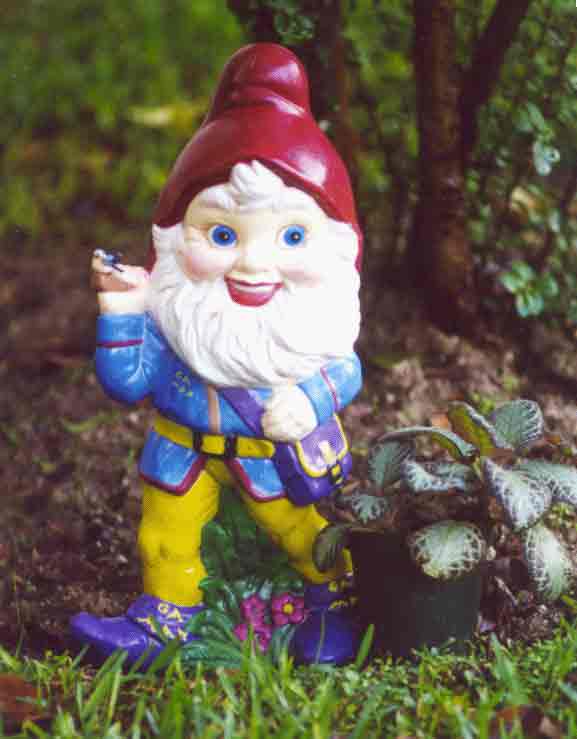 Afbeelding