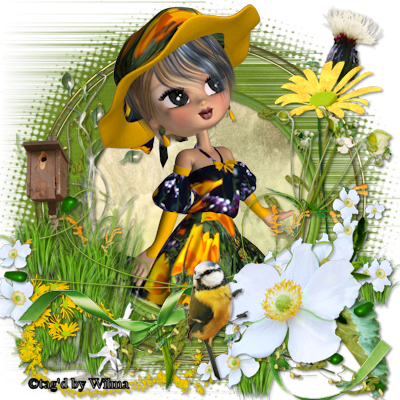 Afbeelding
