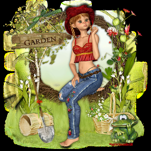 Afbeelding