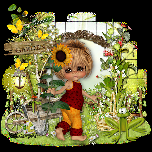 Afbeelding