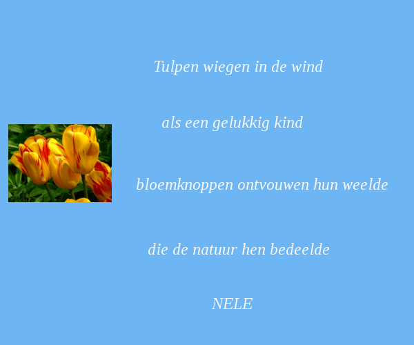 Afbeelding