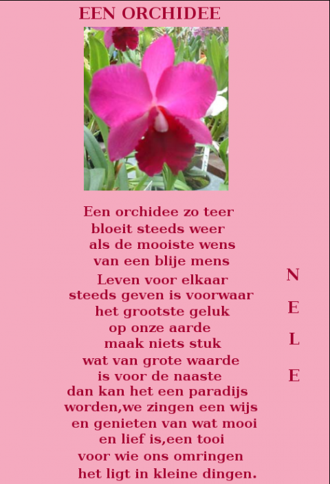Gedichten van _Nele_ : het leven - Pagina 51 SeniorenNet - Website ...