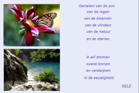 Gedichten van _Nele_ : het leven - Pagina 51 SeniorenNet - Website ...