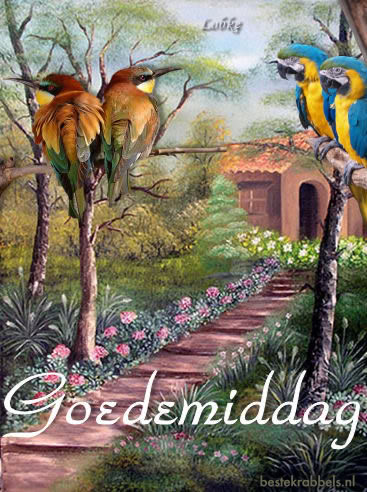 Afbeelding