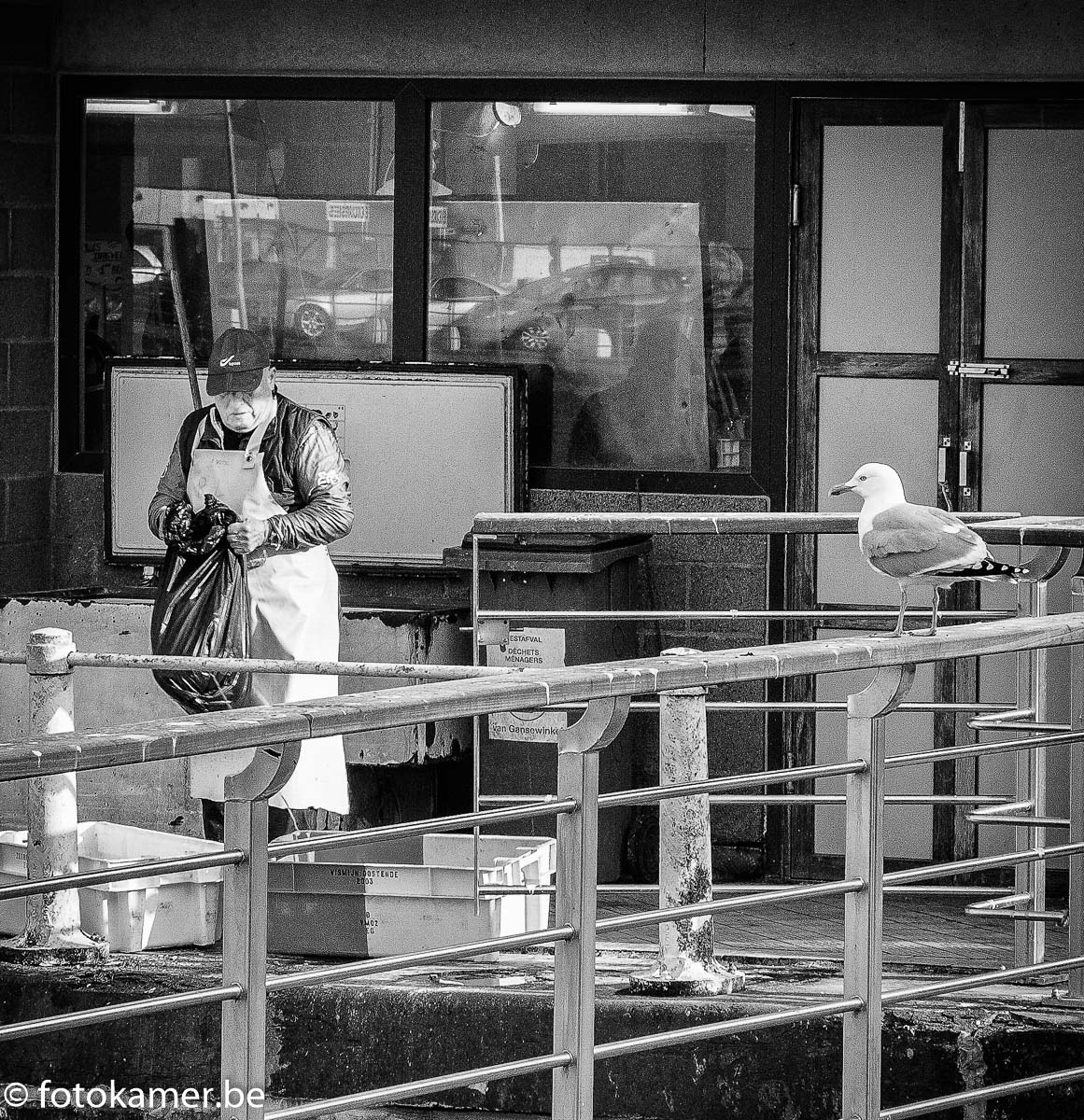 23-20151202-6e7a56.jpg