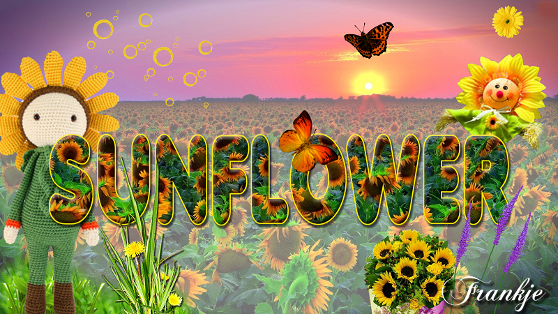 ZONNEBLOEM