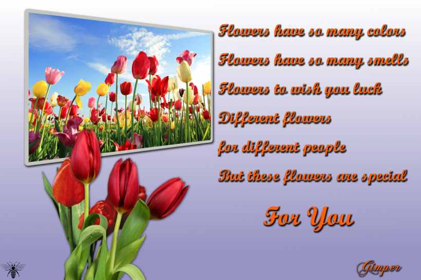 BLOEMEN
