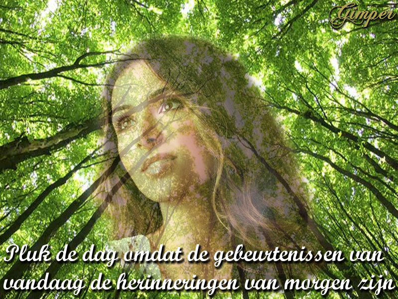 PLUK DE DAG