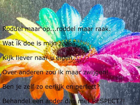 Afbeelding