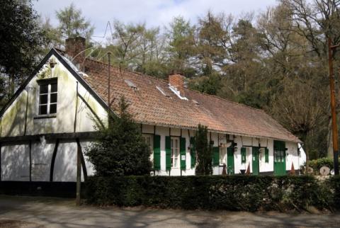 Afbeelding