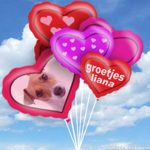 Afbeelding
