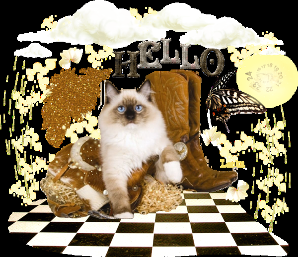 Afbeelding