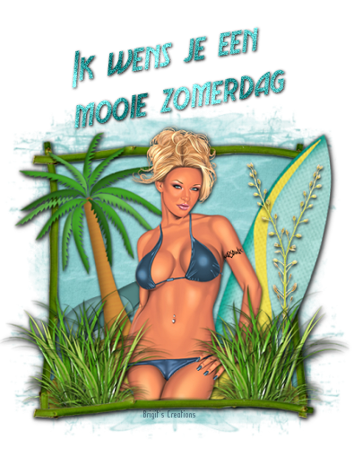 Afbeelding