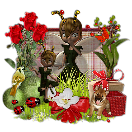 Afbeelding