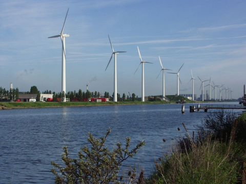 Afbeelding