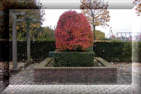 Afbeelding