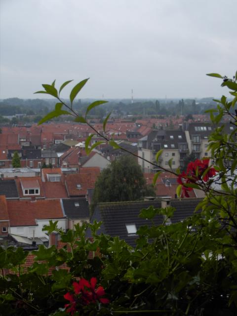 Afbeelding