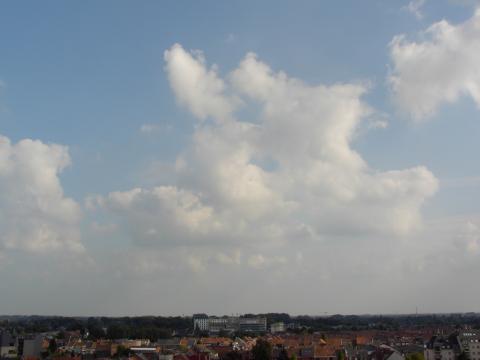 Afbeelding