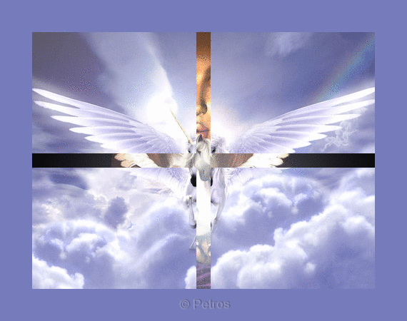 Image and video hosting by TinyPic