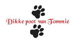 Image and video hosting by TinyPic