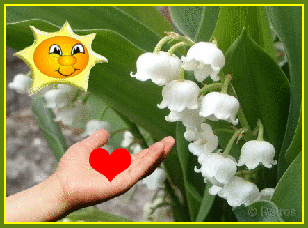 Image and video hosting by TinyPic