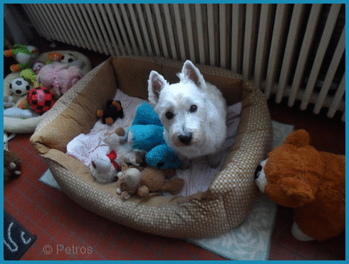 Image and video hosting by TinyPic