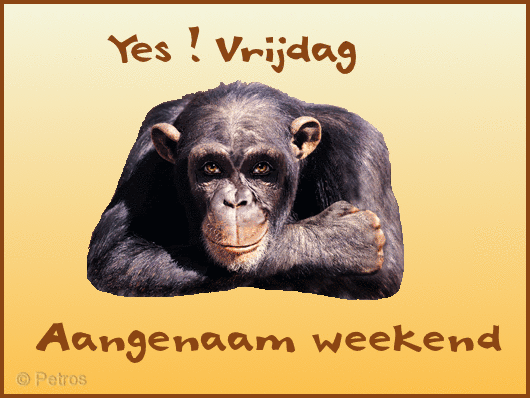 Image and video hosting by TinyPic