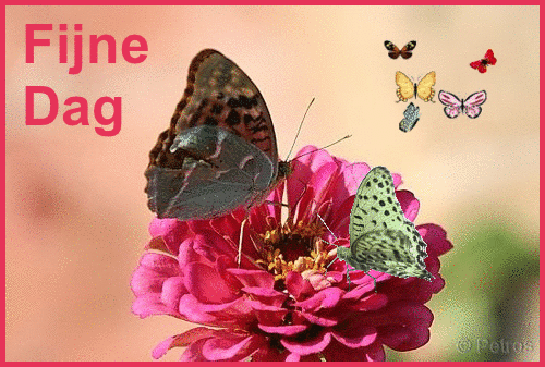 Image and video hosting by TinyPic