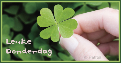 Image and video hosting by TinyPic