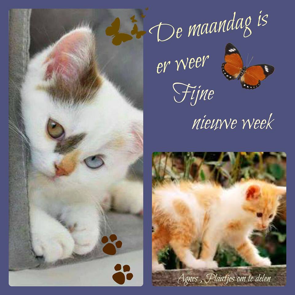 Voor mensen met levenservaring en levenswijsheid