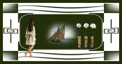 1256-20090124-6bcd1c.gif