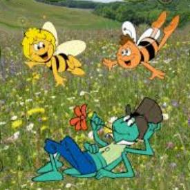 Afbeelding