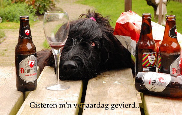 Afbeelding