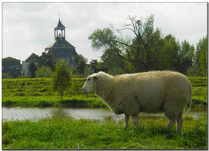 Afbeelding