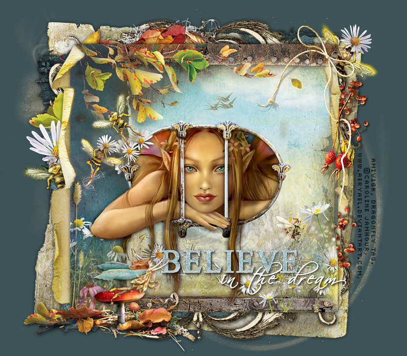 Afbeelding
