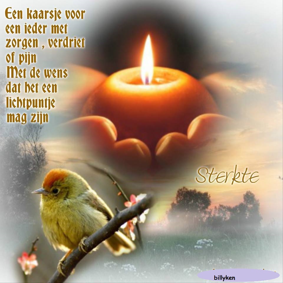 Voor mensen met levenservaring en levenswijsheid