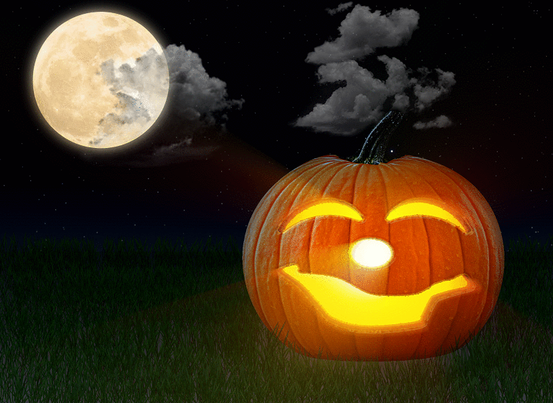 HALLOWEEN