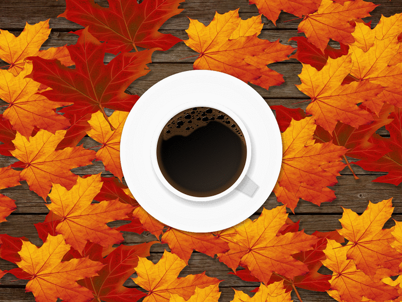 HERFST KOFFIE