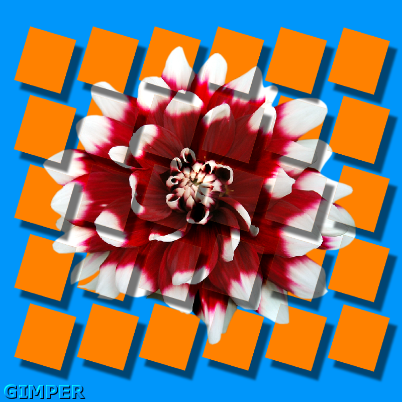 10778-20180701-e18e28.png