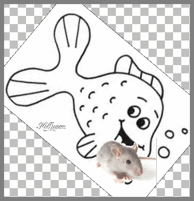 Afbeelding